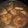 El cooksnap de Delia Vazquez cuando hizo Bondiola a la mostaza con miel.