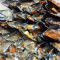 El cooksnap de Elena C cuando hizo Mejillones en salsa verde, fáciles y muy rápidos.