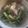 Cooksnap dari Tatyk W untuk resep Sop Iga sapi