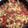 Christopher Beck's cooksnap of when they made Apple Cabbage Kielbasa.
