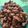 Cooksnap dari Riana Dewi untuk resep Chicken Barbeque ala Wingstop