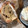 El cooksnap de Virginia Carrasco Garcia cuando hizo Panettone con pepitas de chocolate con Thermomix.