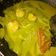 Cooksnap dari Marisa untuk resep Lodeh Labu Siam