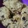 Cooksnap dari Lena Diyah untuk resep Oat Raisin & Chocochip Cookies (eggless, sugarless, no oven)