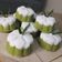 Cooksnap dari Prima Yuliana untuk resep Putu Ayu Pandan