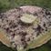 Cooksnap dari Rizki Novalia untuk resep Putu Ayu Jagung Manis