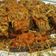 Cooksnap dari Tika Gartikayati untuk resep Barong (Balado Terong)