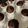 El cooksnap de Maruxaotero cuando hizo Cupcakes de chocolate fit.