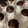 El cooksnap de Maruxaotero cuando hizo Cupcakes de chocolate fit.