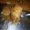 صورة من أمْيُرة بُأځلُاقٌيُ .، شاركها بعد تجربة وصفة كنافة خشنة بجبنة وقشطة 🤷🏻‍♀️