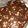 Cooksnap dari Putrii untuk resep Kue Kering Brownies