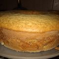 El cooksnap de Carina Guarás cuando hizo Torta en licuadora, tipo budín, de naranja.