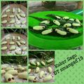 Cooksnap dari unis shodiqin untuk resep Kukis Ulet bulu😂😂
