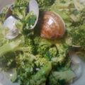 趙蓓蒂 的 青花椰炒雞肉 cooksnap