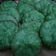 Cooksnap dari Dapur Ruth untuk resep Kue Cucur Pandan