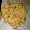 El cooksnap de Natts cuando hizo Galletas de avena y manzana de Río Negro 🖤 🍎.