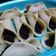 Cooksnap dari Halimah Ummu Mirza_Aisyah untuk resep #10.KUE Manja