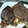 El cooksnap de Dika Elez cuando hizo Filetes de hígado de ternera con cebolla caramelizada.