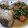 El cooksnap de MaryGlory cuando hizo Pescadilla guisada con verduras muy fácil.