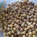 njcavazos87's cooksnap of when they made Spicy Roasted Chick-Peas (Garbanzo Beans).