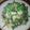 Cooksnap dari Mama Arka untuk resep Urap sederhana ku