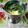 Suchita Ingole Lavhale's cooksnap of when they made कढी (kadhi recipe in marathi).