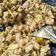 Cooksnap dari Bendelina Sanry untuk resep Babi rica bumbu rw