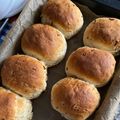 Andrea Németh Cooksnap-ja, amikor elkészítette a(z) Witte bollen - Holland zsemlék receptet.