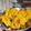 Sutapa Chakraborty's cooksnap of when they made কুমড়ো ফুলের পকোড়া(kumro phuler pakoda recipe in Bengali).