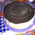 El cooksnap de Gime Rivero cuando hizo Bizcochuelo en microondas.