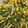 Cooksnap dari Yenni Gunawan untuk resep Urap Sayur Vegan ala YG Kitchen