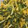 Cooksnap dari Yenni Gunawan untuk resep Urap Sayur Vegan ala YG Kitchen