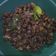 Cooksnap dari Erwin Tan untuk resep Tumis kerang kupas kering
