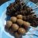 Cooksnap dari daning barokah untuk resep Sate pindang telur puyuh