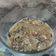 Cooksnap dari Rizka's Kitchen 🍳🥘🍰 untuk resep Creamy mushroom sauce