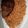Dorcas Recipes's cooksnap of when they made Jollof rice.