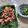 Cooksnap dari Miauw Wina untuk resep Cumi saos Padang