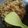 Cooksnap dari irish Beautycare untuk resep Nasi Goreng Blue Band