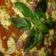 El cooksnap de eli🌱🌸🌸 cuando hizo Pizza casera💖🍕 Fácil y súper rica.