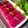 Cooksnap dari Sari's Kitchen untuk resep Dadar Gulung Buah Naga