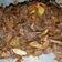 Cooksnap dari ela umar untuk resep Beef teriyaki ala hokben