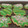 El cooksnap de Silvia Rivas cuando hizo Galletas de Mantequilla Veganas.