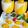Cooksnap dari Arles Yerricka untuk resep Puding mangga