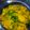 Cooksnap dari Resha untuk resep Mie Golosor