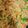 El cooksnap de mayorhermoso@gmail.com cuando hizo Salteado de arroz con zanahorias al curry.