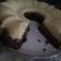 Cooksnap dari Renyarie untuk resep Bolu tiramisu kukus