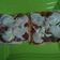 Cooksnap dari dwhy untuk resep Pizza roti tawar