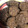El cooksnap de Leslie Caroline Bórquez Farías cuando hizo Galletas de cacao y harina de avena.