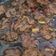 Cooksnap dari Onick Saputri untuk resep Bola Daging Kecap
