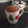 El cooksnap de M Eugenia Gómez Quiroga cuando hizo Pastel de taza.